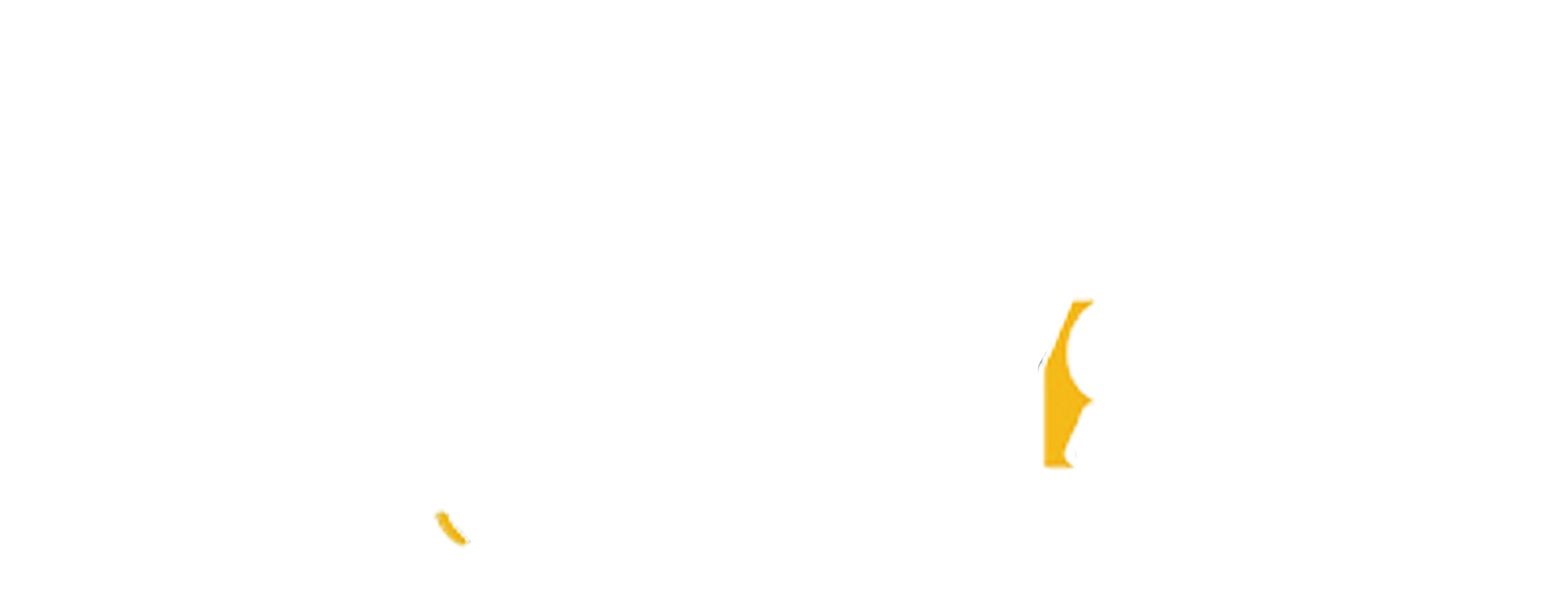 white logo of career advisers